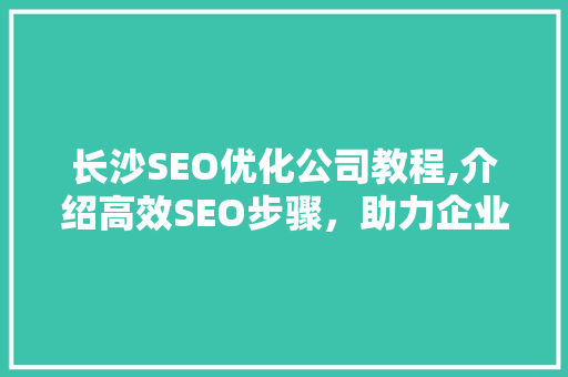 长沙SEO优化公司教程,介绍高效SEO步骤，助力企业网站排名提升