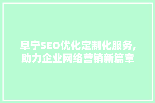 阜宁SEO优化定制化服务,助力企业网络营销新篇章