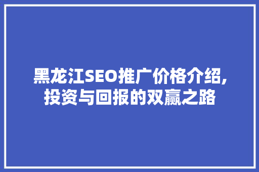 黑龙江SEO推广价格介绍,投资与回报的双赢之路