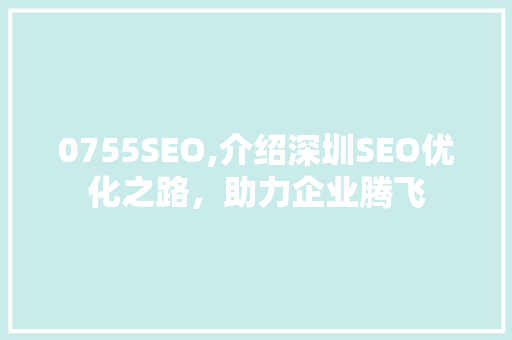 0755SEO,介绍深圳SEO优化之路，助力企业腾飞