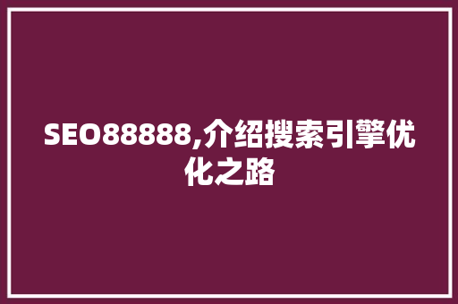 SEO88888,介绍搜索引擎优化之路