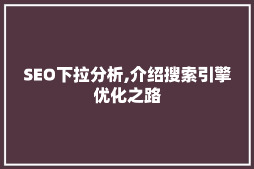 SEO下拉分析,介绍搜索引擎优化之路