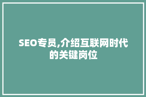 SEO专员,介绍互联网时代的关键岗位