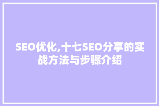 SEO优化,十七SEO分享的实战方法与步骤介绍