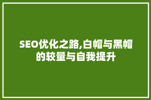 SEO优化之路,白帽与黑帽的较量与自我提升
