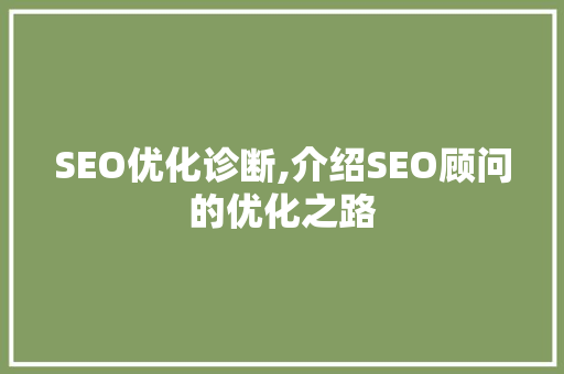 SEO优化诊断,介绍SEO顾问的优化之路