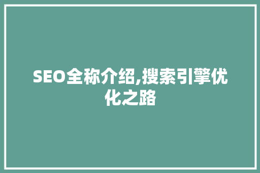 SEO全称介绍,搜索引擎优化之路