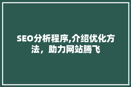 SEO分析程序,介绍优化方法，助力网站腾飞