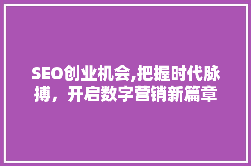 SEO创业机会,把握时代脉搏，开启数字营销新篇章