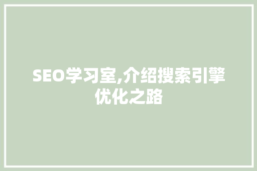 SEO学习室,介绍搜索引擎优化之路
