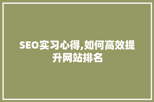SEO实习心得,如何高效提升网站排名