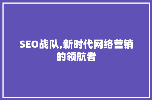 SEO战队,新时代网络营销的领航者