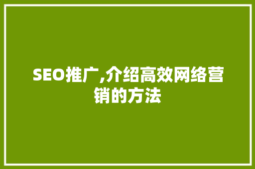 SEO推广,介绍高效网络营销的方法