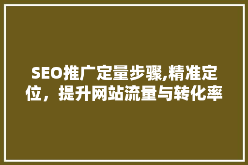 SEO推广定量步骤,精准定位，提升网站流量与转化率