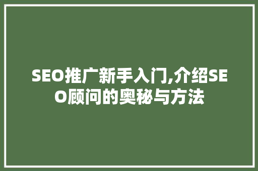 SEO推广新手入门,介绍SEO顾问的奥秘与方法