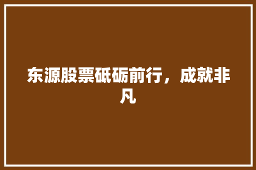 东源股票砥砺前行，成就非凡  第1张