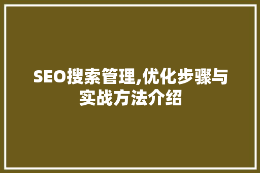 SEO搜索管理,优化步骤与实战方法介绍