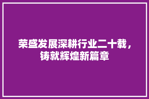 荣盛发展深耕行业二十载，铸就辉煌新篇章
