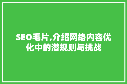 SEO毛片,介绍网络内容优化中的潜规则与挑战