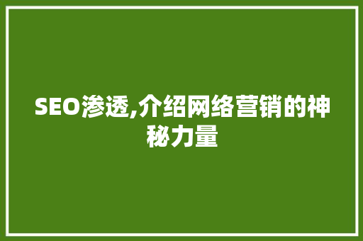 SEO渗透,介绍网络营销的神秘力量