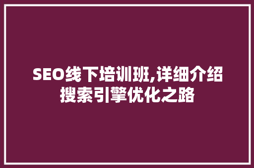 SEO线下培训班,详细介绍搜索引擎优化之路