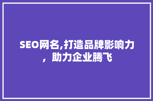 SEO网名,打造品牌影响力，助力企业腾飞