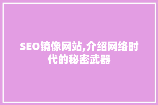 SEO镜像网站,介绍网络时代的秘密武器