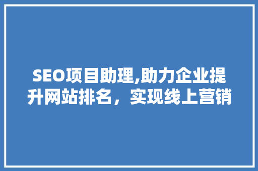 SEO项目助理,助力企业提升网站排名，实现线上营销新突破
