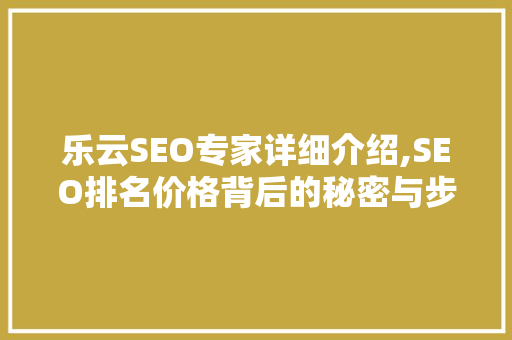 乐云SEO专家详细介绍,SEO排名价格背后的秘密与步骤