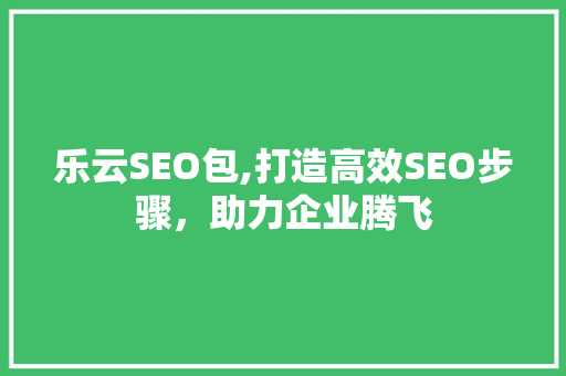 乐云SEO包,打造高效SEO步骤，助力企业腾飞
