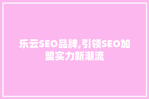 乐云SEO品牌,引领SEO加盟实力新潮流