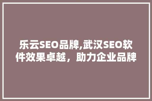 乐云SEO品牌,武汉SEO软件效果卓越，助力企业品牌腾飞