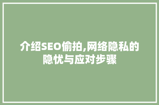 介绍SEO偷拍,网络隐私的隐忧与应对步骤