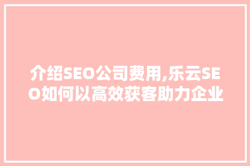 介绍SEO公司费用,乐云SEO如何以高效获客助力企业腾飞