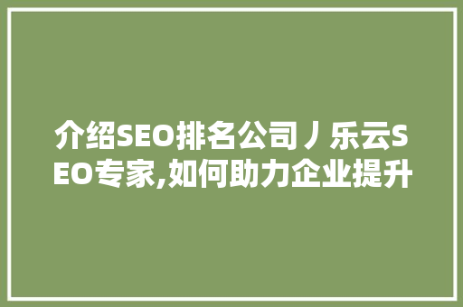 介绍SEO排名公司丿乐云SEO专家,如何助力企业提升网站流量与品牌影响力