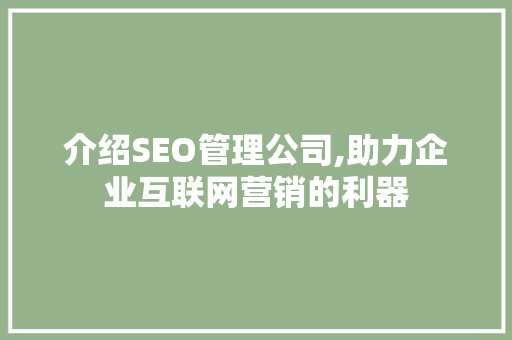 介绍SEO管理公司,助力企业互联网营销的利器