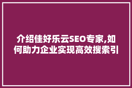 介绍佳好乐云SEO专家,如何助力企业实现高效搜索引擎排名