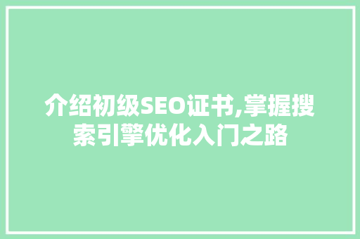 介绍初级SEO证书,掌握搜索引擎优化入门之路