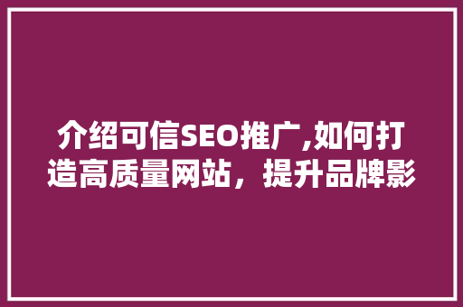 介绍可信SEO推广,如何打造高质量网站，提升品牌影响力