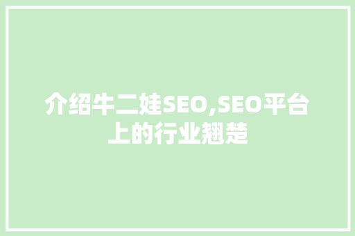 介绍牛二娃SEO,SEO平台上的行业翘楚