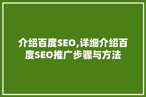 介绍百度SEO,详细介绍百度SEO推广步骤与方法