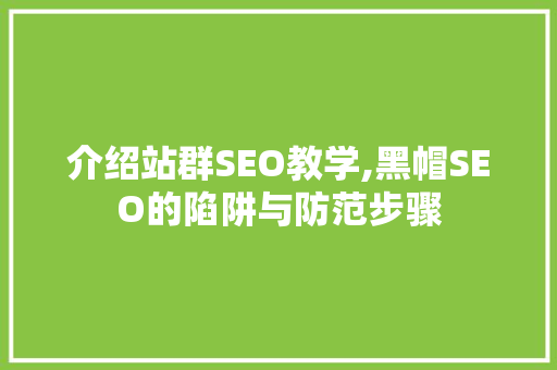 介绍站群SEO教学,黑帽SEO的陷阱与防范步骤