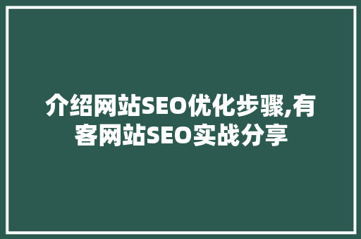 介绍网站SEO优化步骤,有客网站SEO实战分享