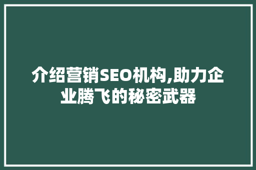 介绍营销SEO机构,助力企业腾飞的秘密武器