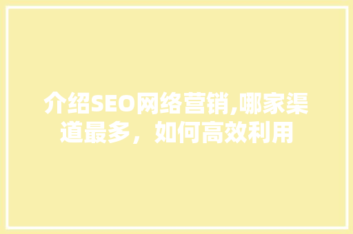 介绍SEO网络营销,哪家渠道最多，如何高效利用