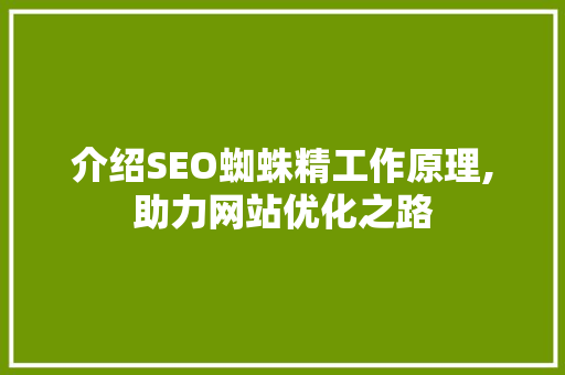 介绍SEO蜘蛛精工作原理,助力网站优化之路