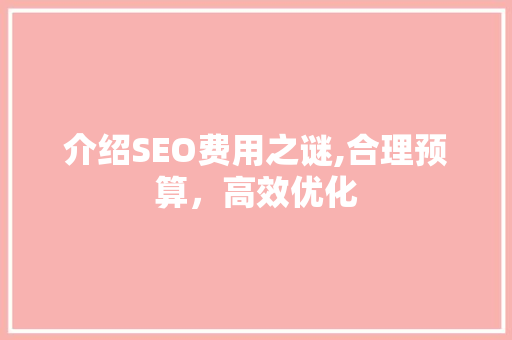 介绍SEO费用之谜,合理预算，高效优化