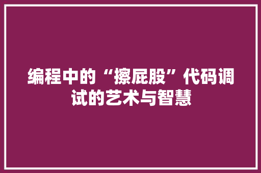 编程中的“擦屁股”代码调试的艺术与智慧