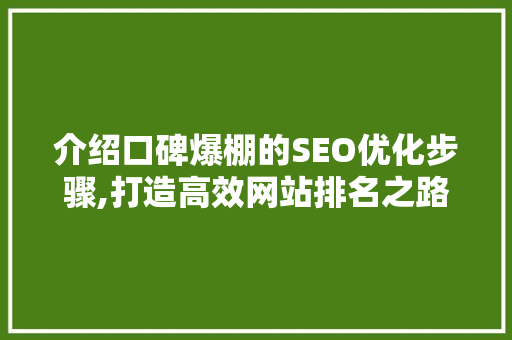 介绍口碑爆棚的SEO优化步骤,打造高效网站排名之路