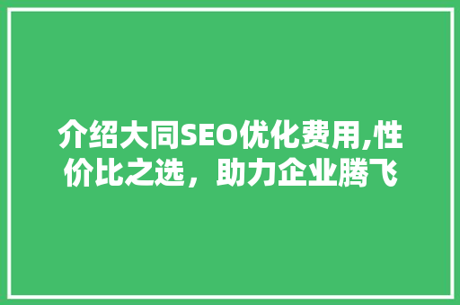 介绍大同SEO优化费用,性价比之选，助力企业腾飞